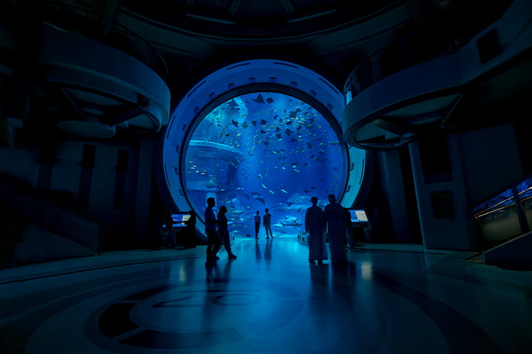 UAE Highlights & Theme Park Adventure - Gallery Image 3